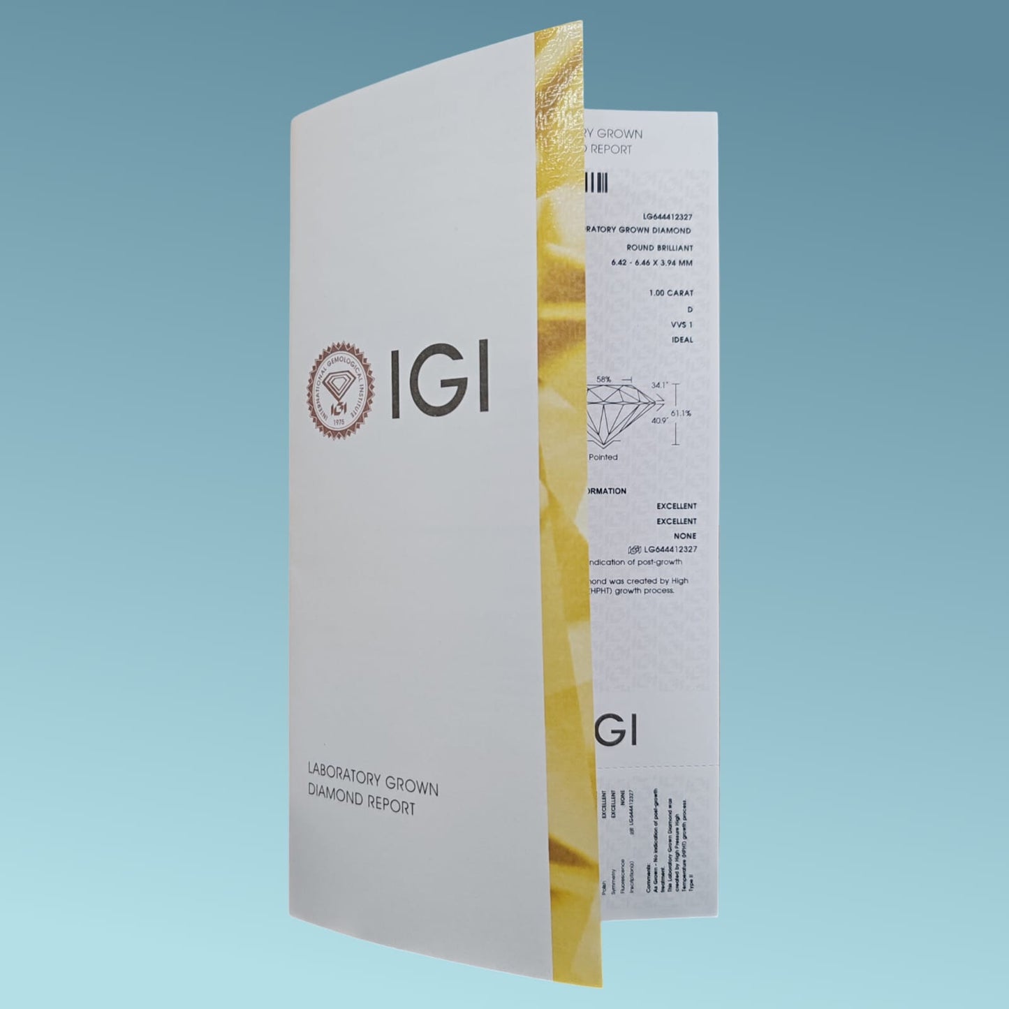 repot igi