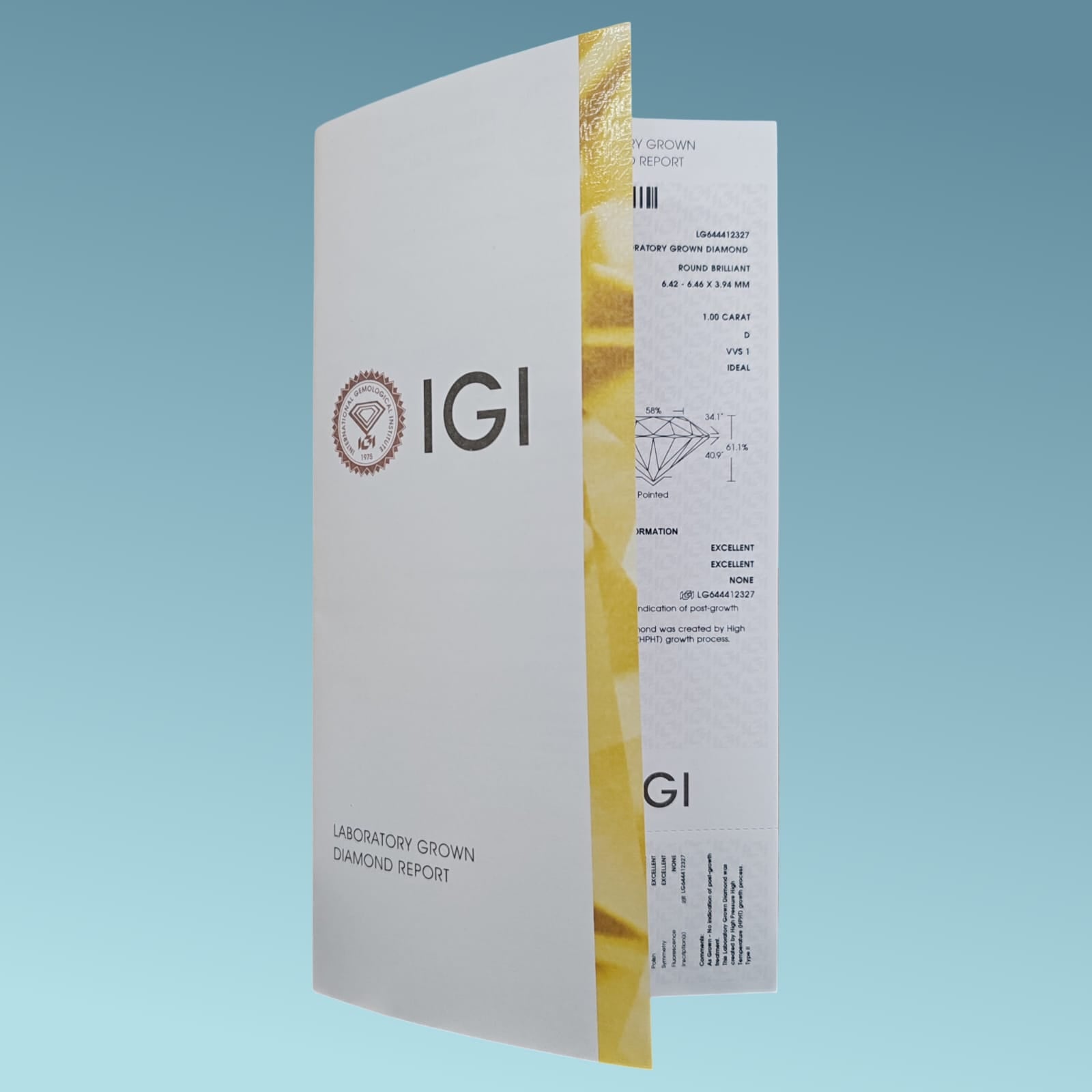 repot igi
