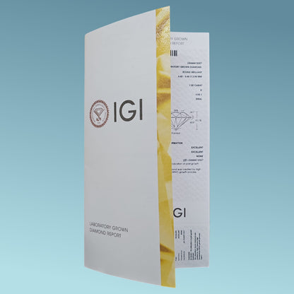 repot igi